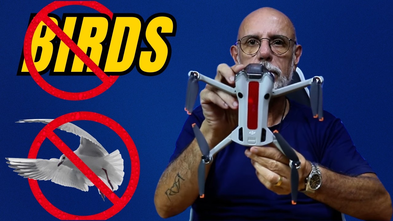 Um BIRD STRIKE pode levar seu drone ao chão! Saiba como evitar.