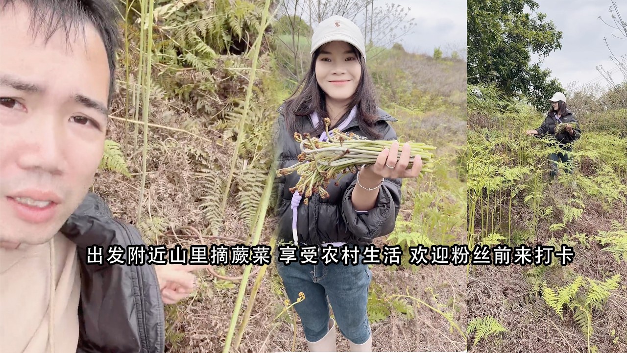 出发附近山里摘蕨菜 享受农村生活 欢迎粉丝前来打卡