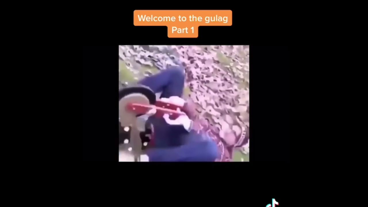 Welcome to the gulag memes V1