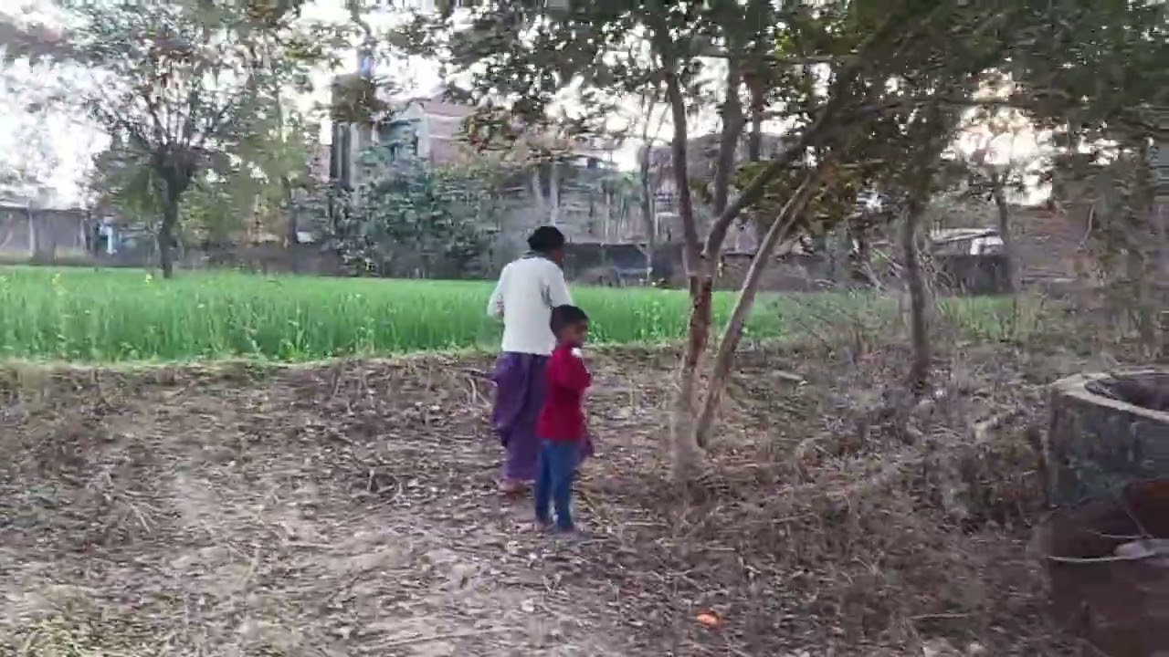 धरती में लहलहाती 🌿🌾☘️🍀🪴🌱हुई गेंहु के खेत #video trading #vairl Villegas life #Ranjitakujur 