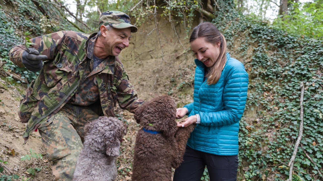 Truffle Hunting in Siena, Italy