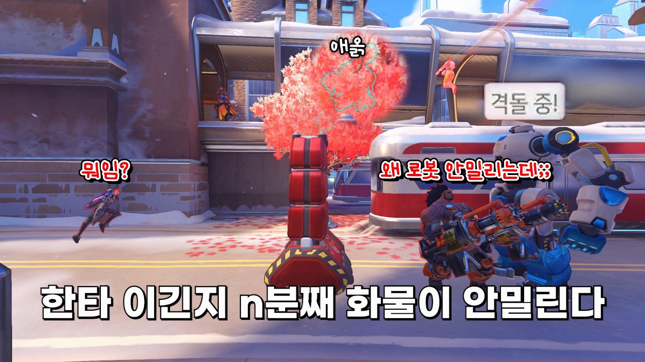 모르면 손해보는 고양이로 화물 무한으로 비비는 꿀팁