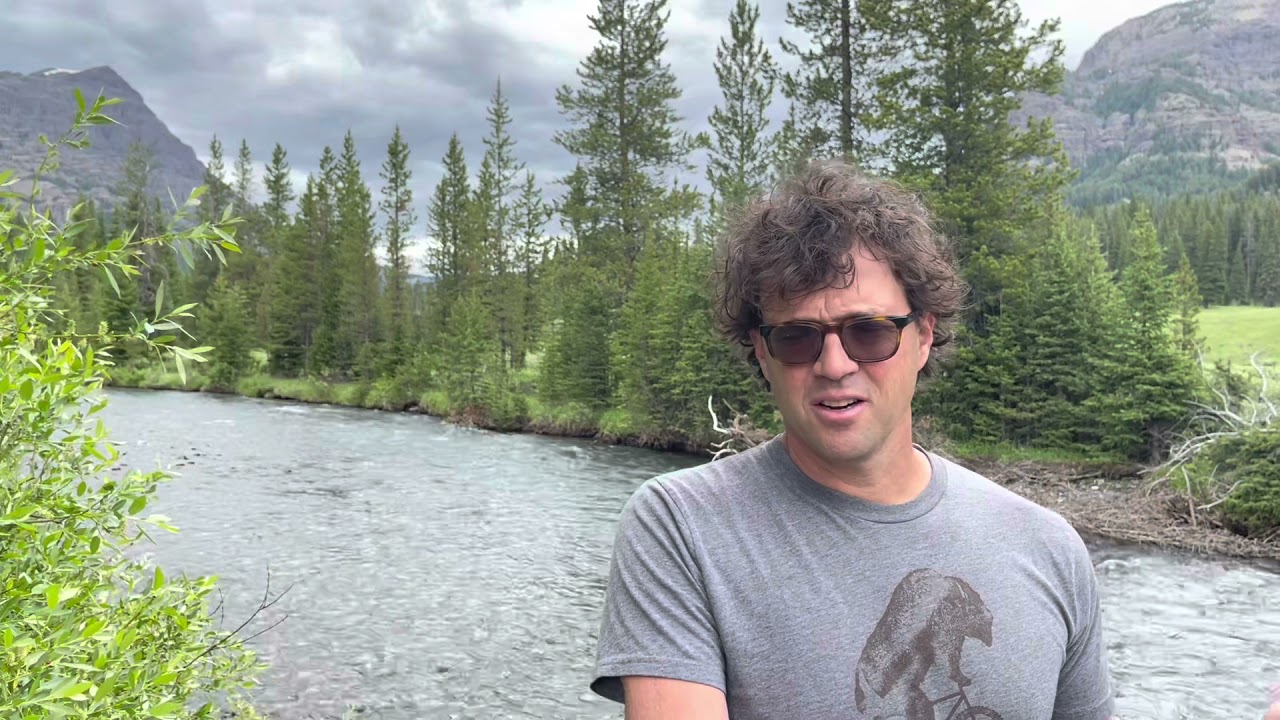 Road Trip Day 6: Your Pool & Landscaping