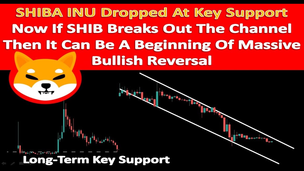 SHIBA INU Dropped At Key Support | If SHIB Breaks Out The Channel Then It Can Begin Bullish Reversal