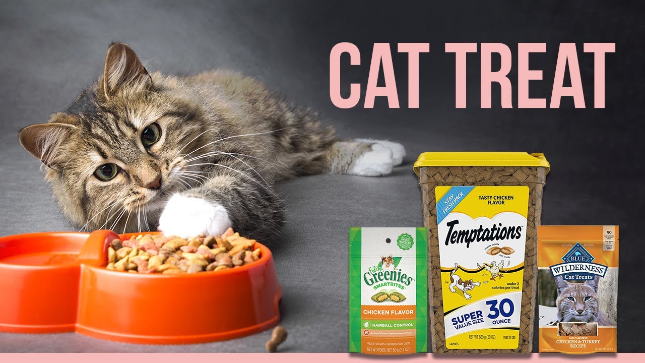6 Best Cat Treats | Best Natural Cat Treats