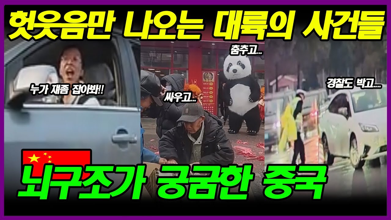 중국반응 | 정말이지 뇌구조가 궁금해지는 대륙의 어처구니없는 사건들