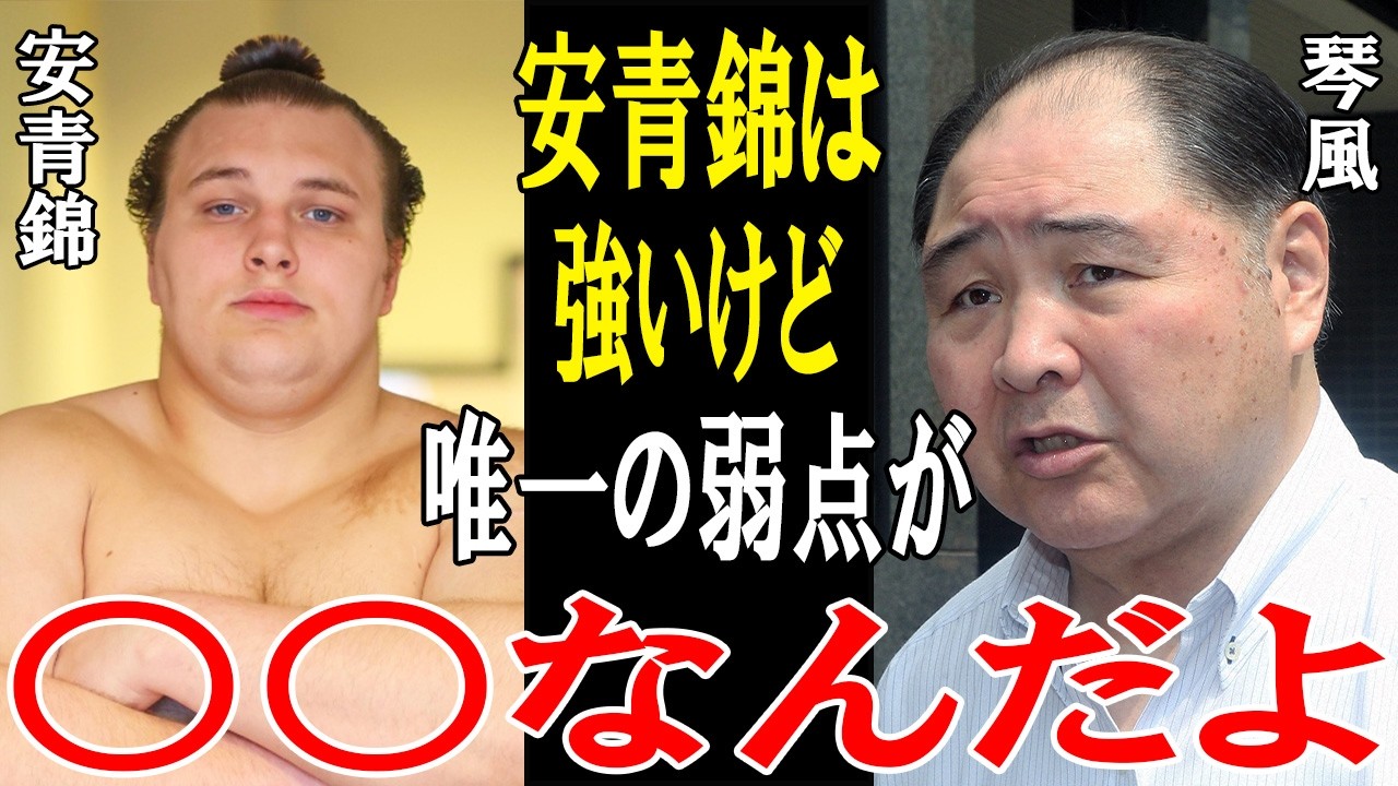 【安青錦】琴風「安青錦は今すぐ〇〇を変えたほうがいい」安青錦の唯一の課題が明らかに！