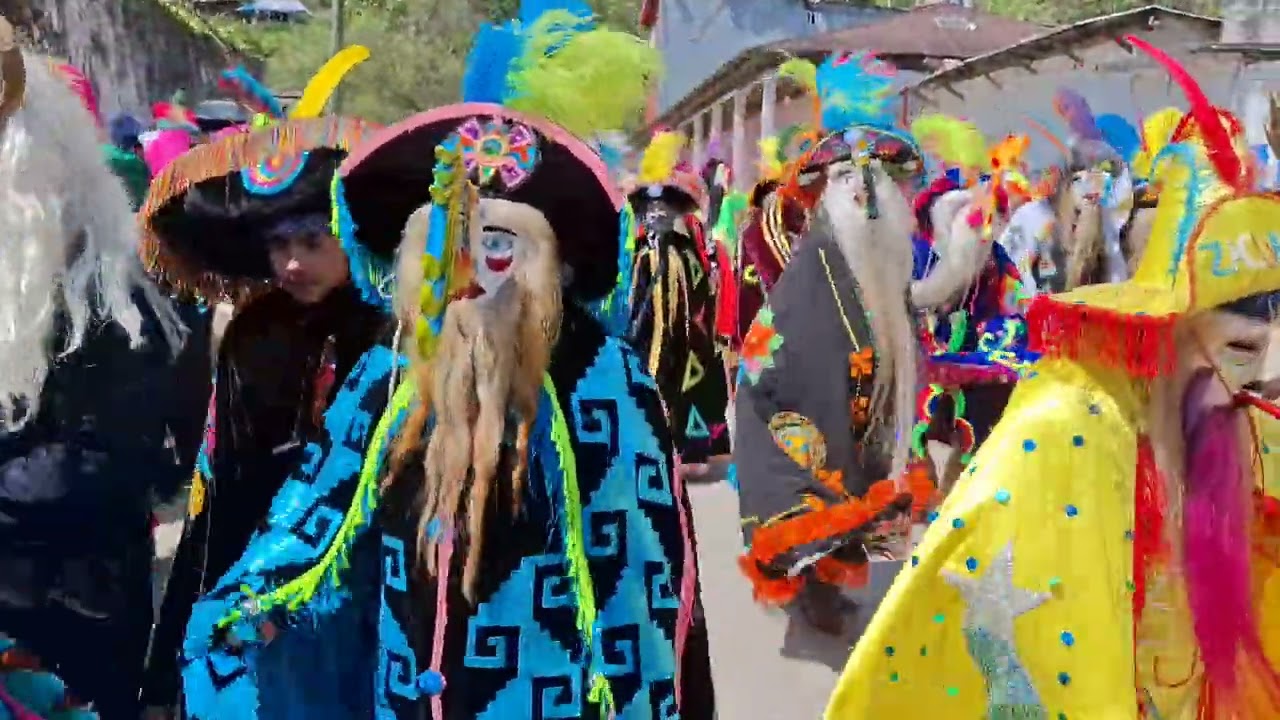 CARNAVAL ZACUALPAN VERACRUZ (2025)