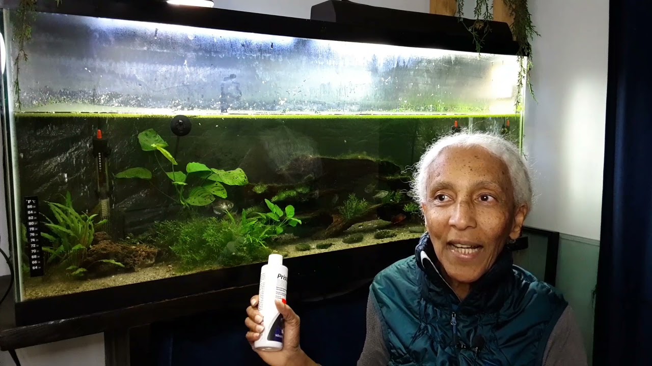 The 55 Gallon Tank: Who's afraid of mulm!