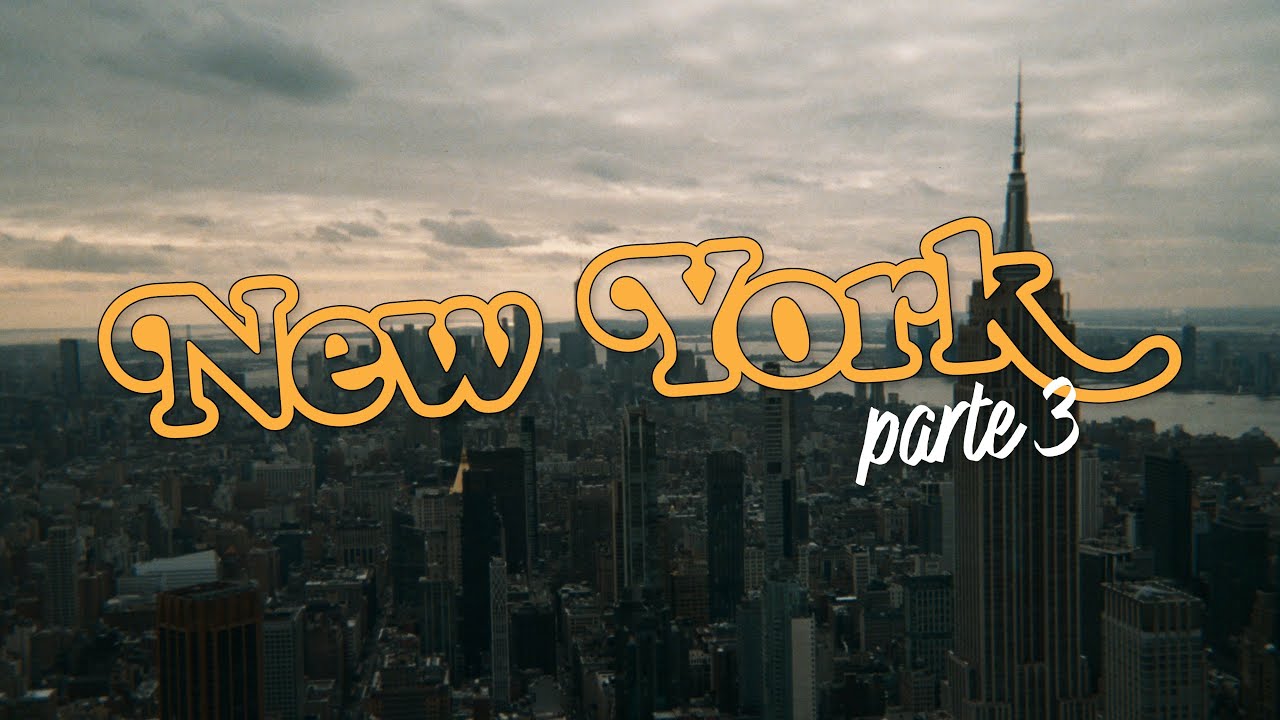 VLOG NY PT3