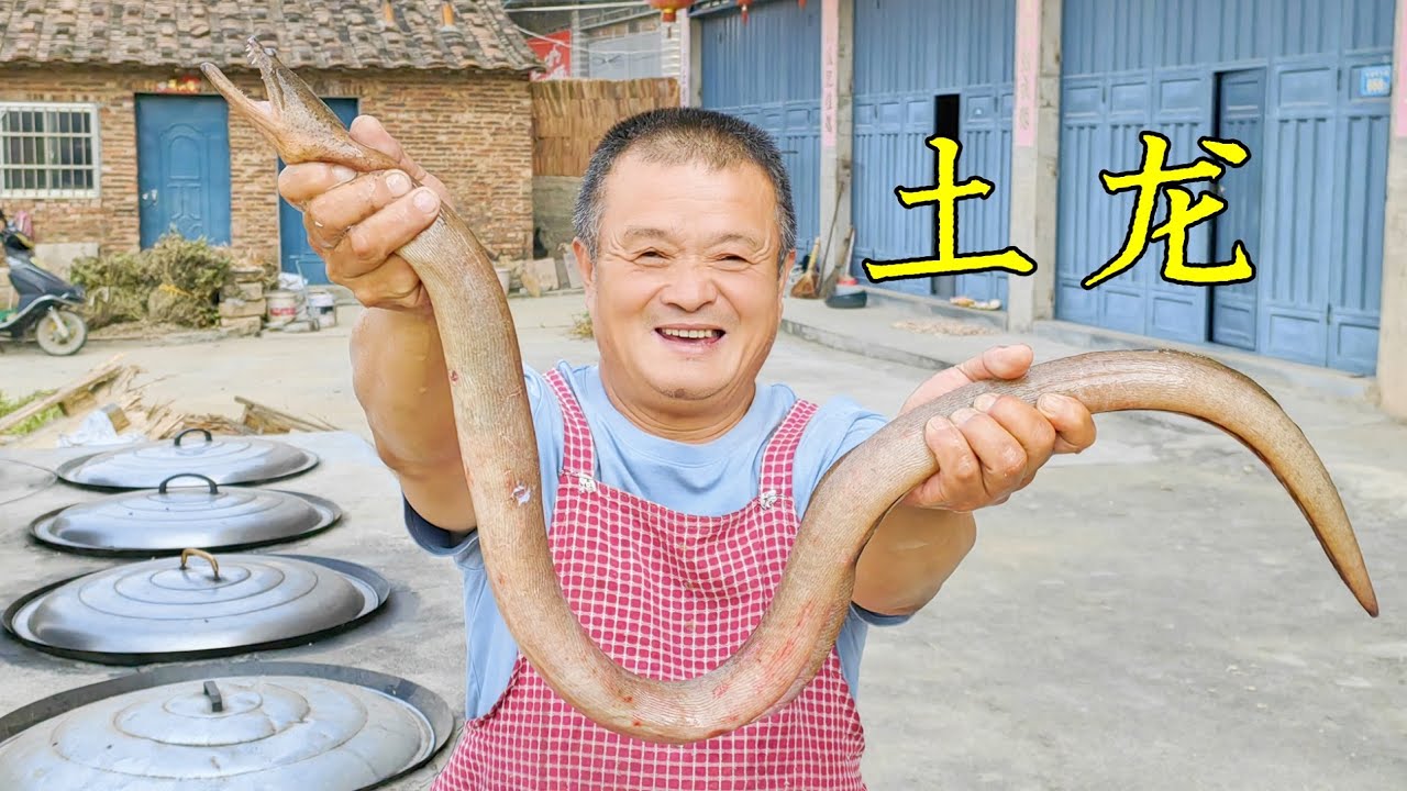 820買2條野生“土龍”，炖上整個大豬腿，這口湯實在太補了