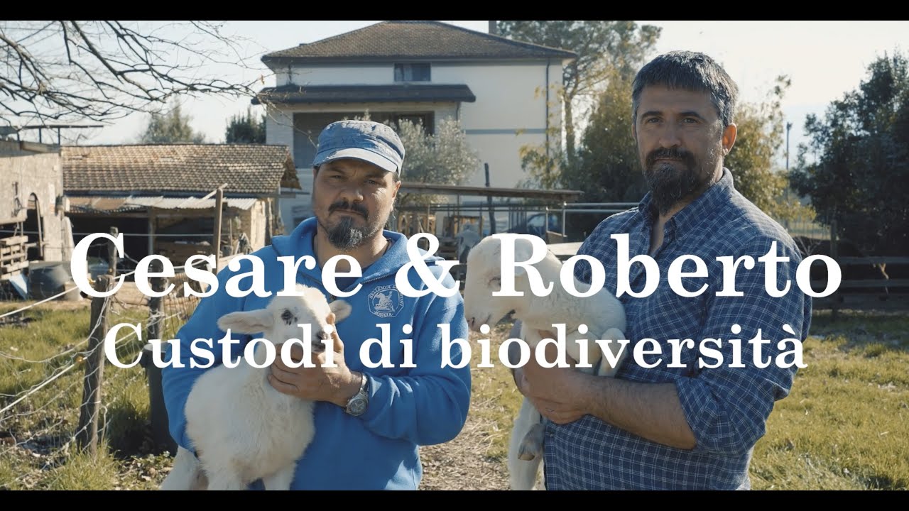 Il Gallo Larino | Custodi di biodiversità