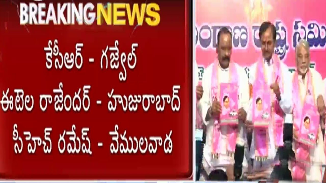 TRS Releases 2014 Election Manifesto