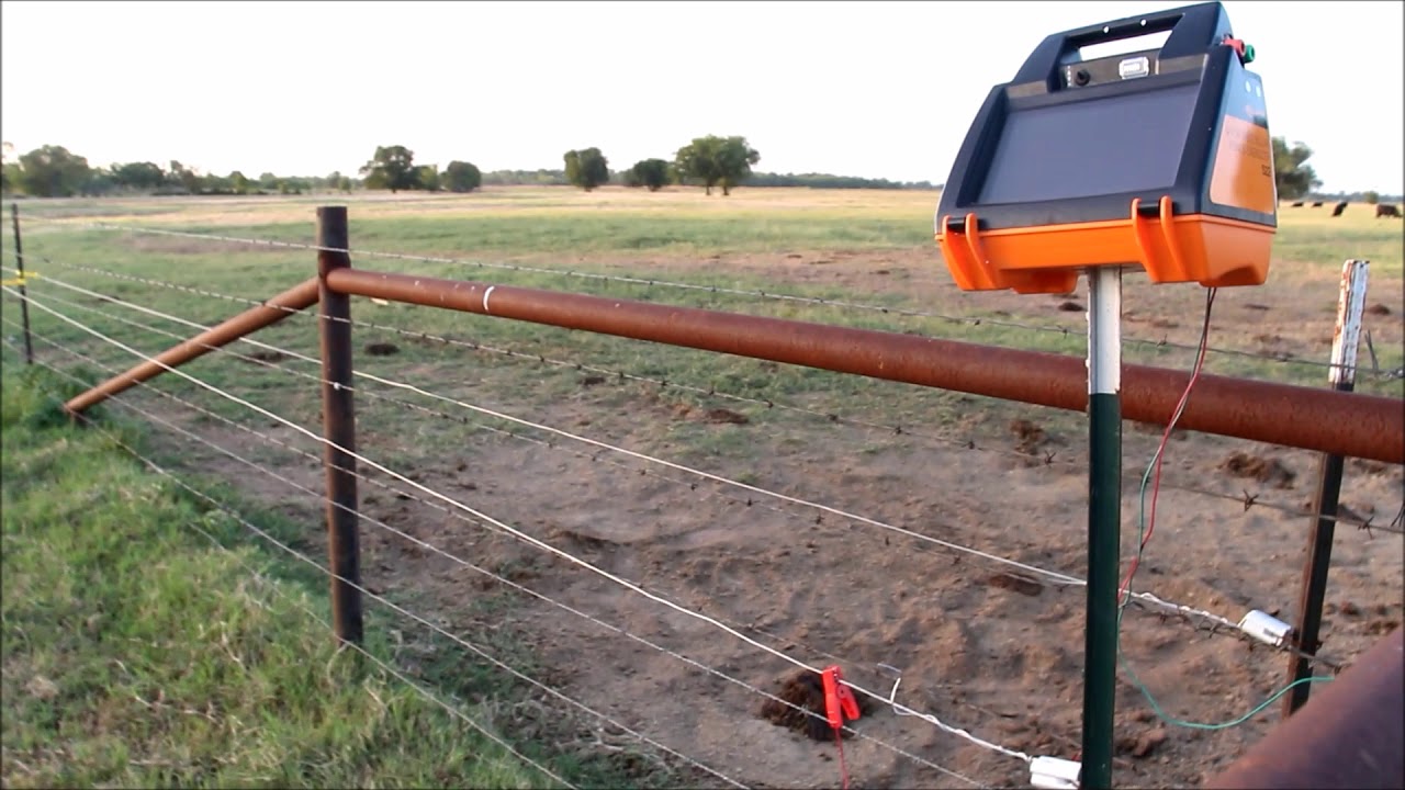 Grodzenie pastwisk, pastuch elektryczny