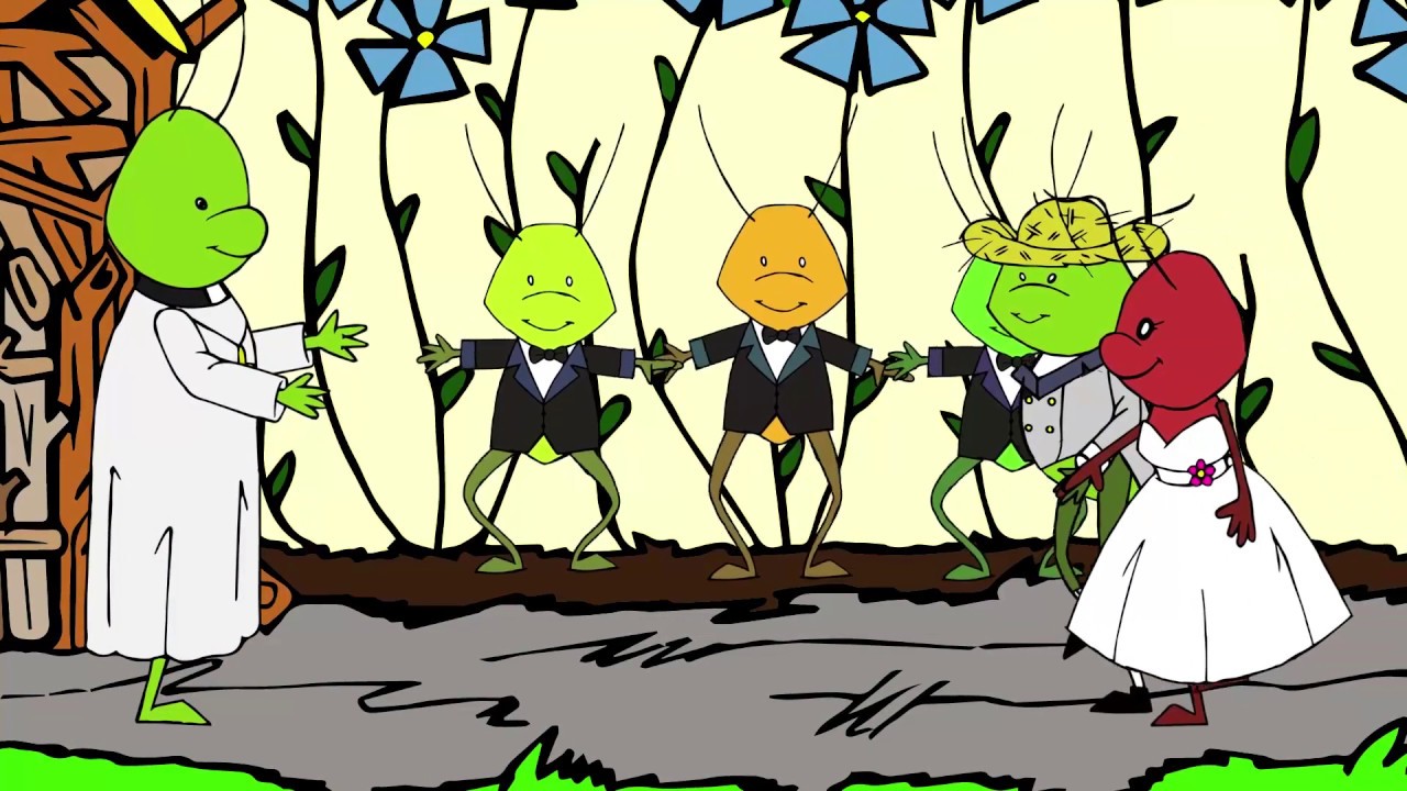 Il grillo e la formicuzza - Canzone per bambini - Yleekids Italiano