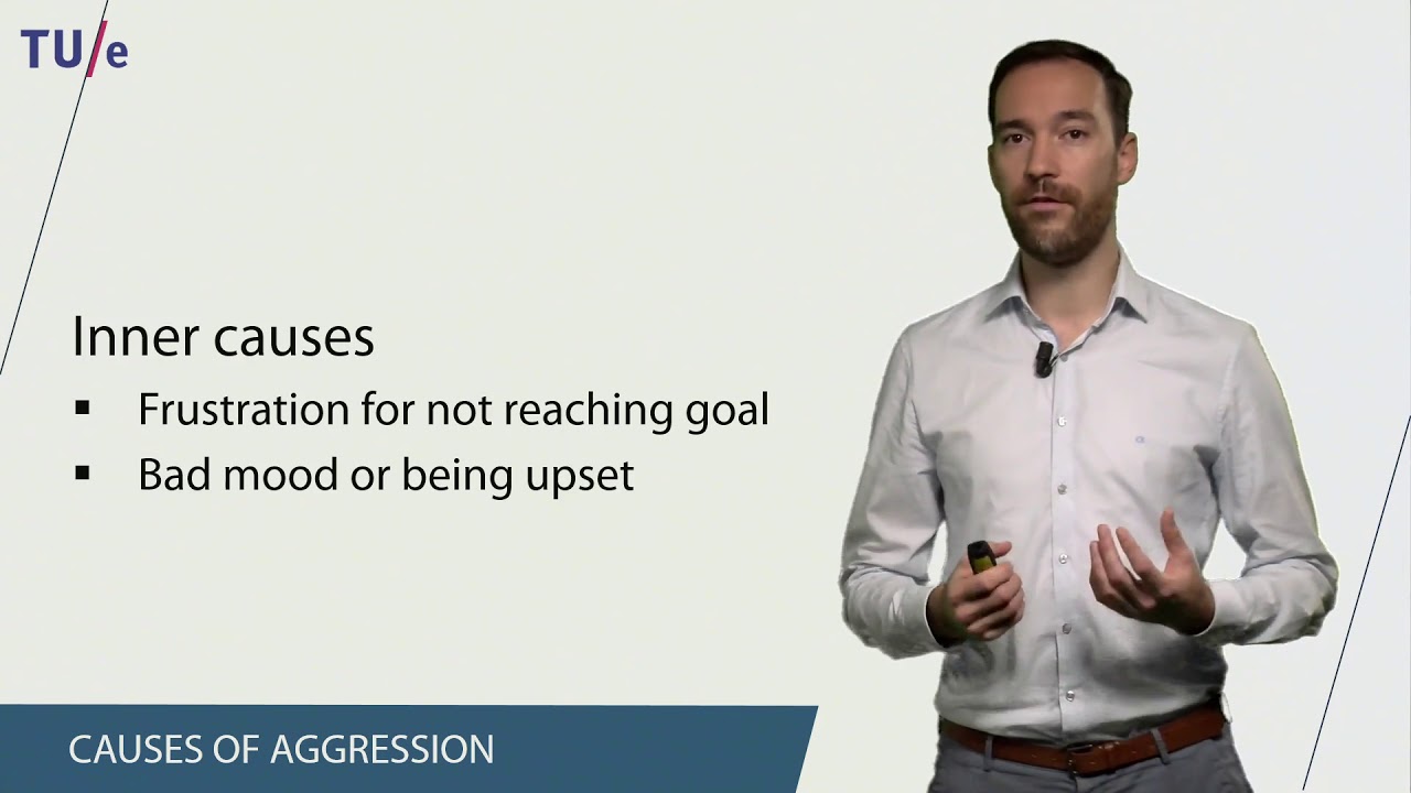 TUe Social Psychology - 10 Aggression and Antisocial Behavior