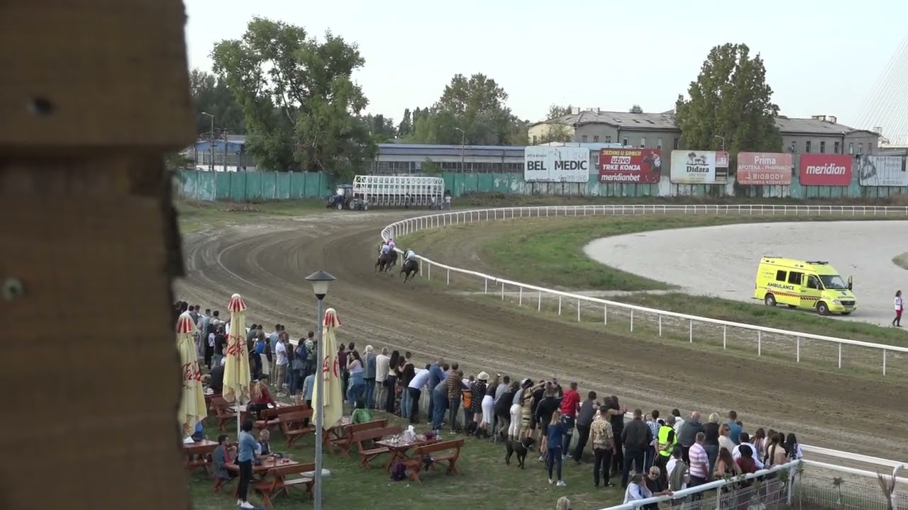 Sesta trka Beograd 01 10 2023 SAINT LEGER