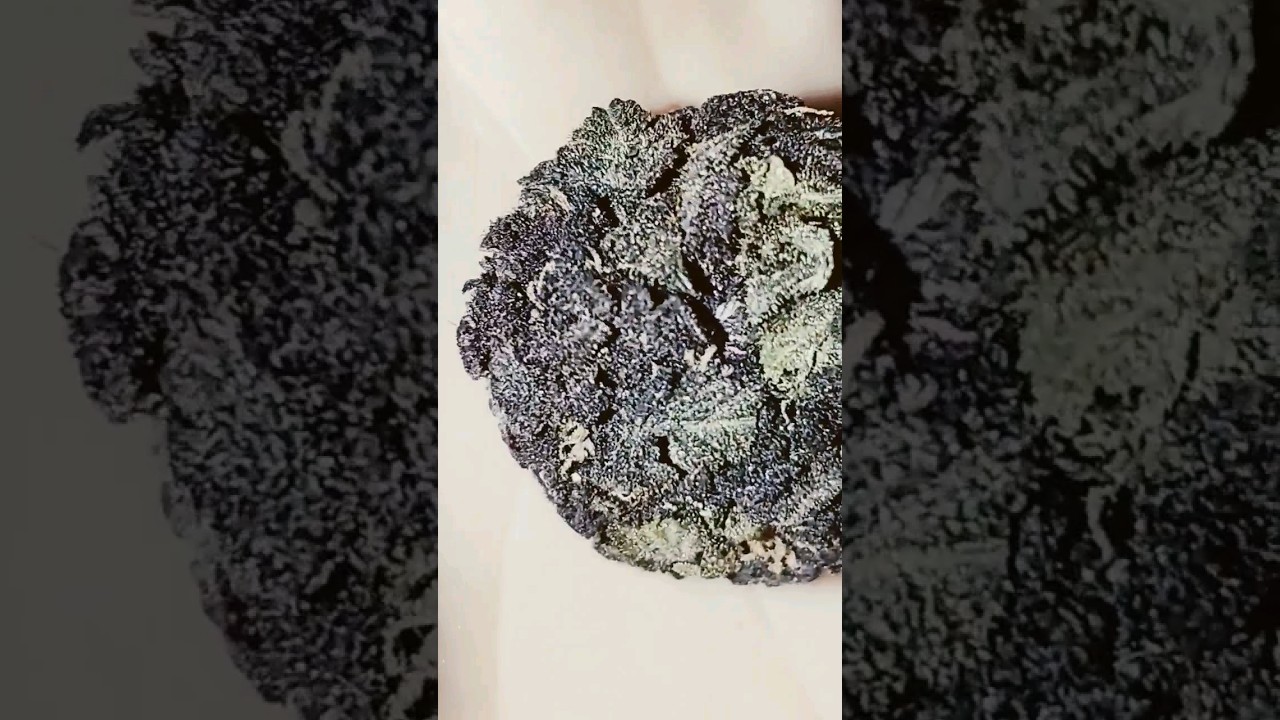 (Nug Shots) 