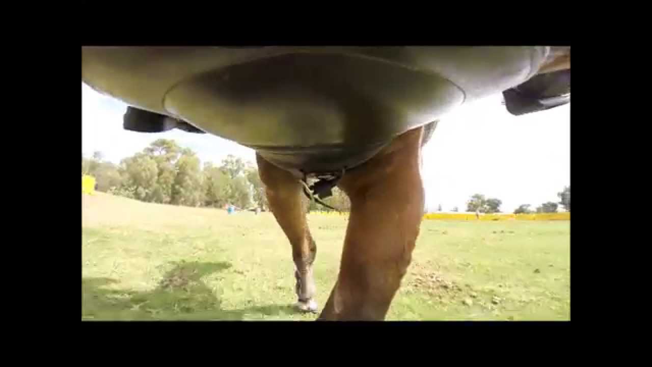 Gopro: show jumping
