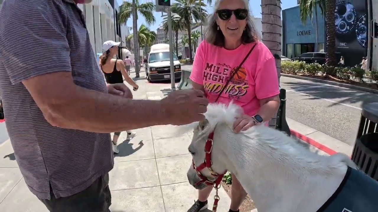 Lt. Rowdy walking around Rodeo Drive Beverly hills California 2 of 10 70823