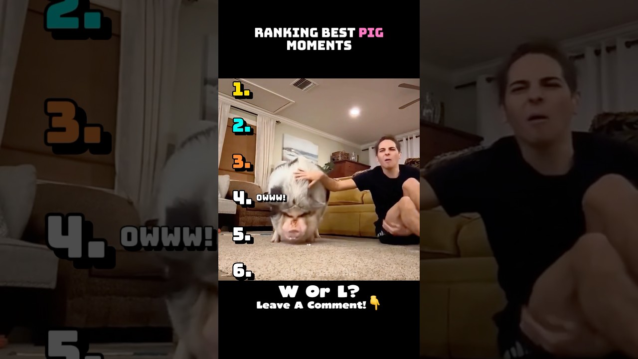 Best Pig Moments😂 #shorts