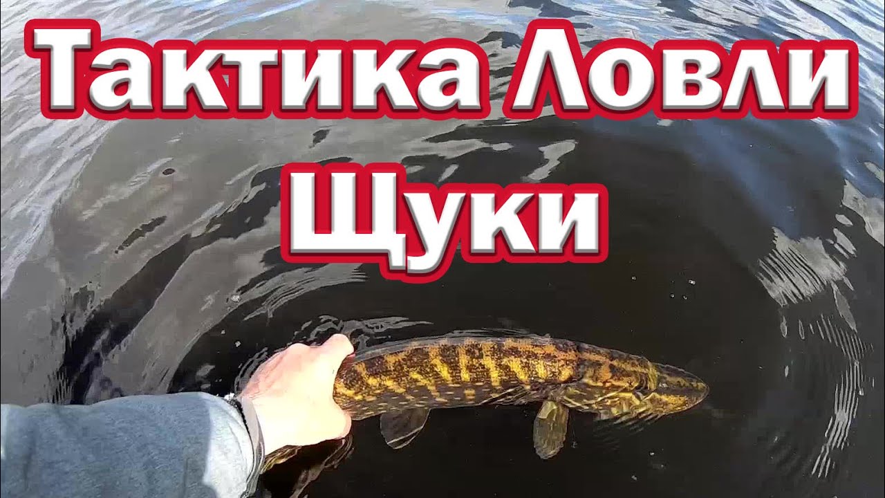 ТАКТИКА Ловли Щуки когда НЕ КЛЮЁТ у других. Рыбалка на спиннинг  Рыбалка на щуку  Ловля с лодки щуки