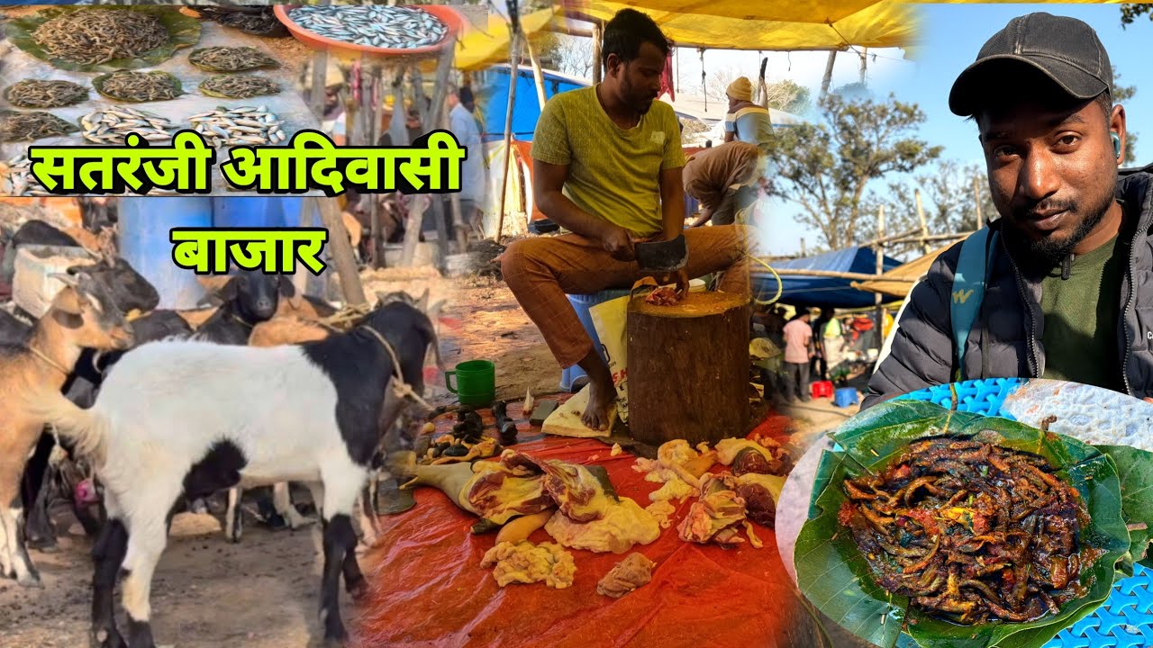 सतरंजी आदिवासी बाजार | ताजा मछली | Fish Fry Recipe | Village Tribal Market place
