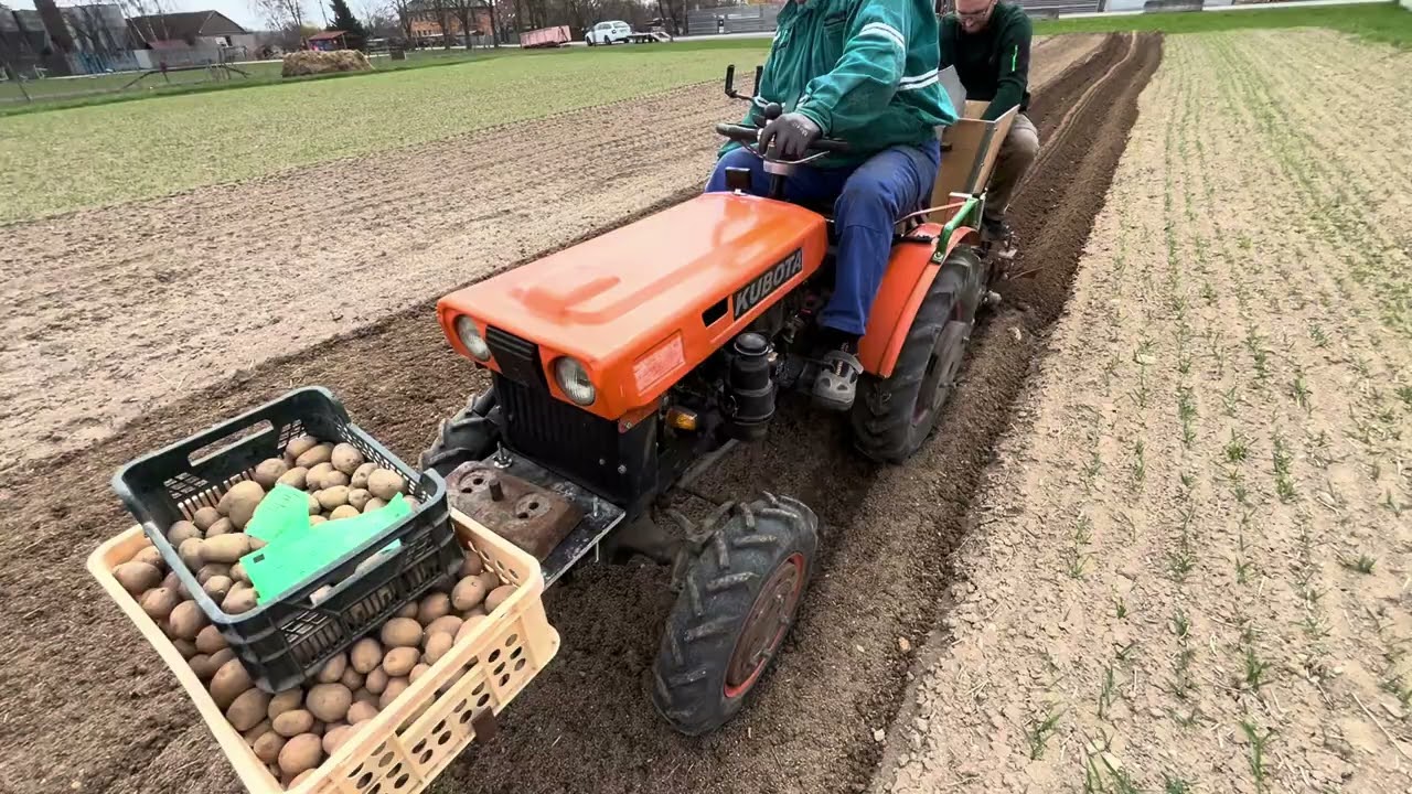 Kubota B6000, s&aacute;zen&iacute; brambor 