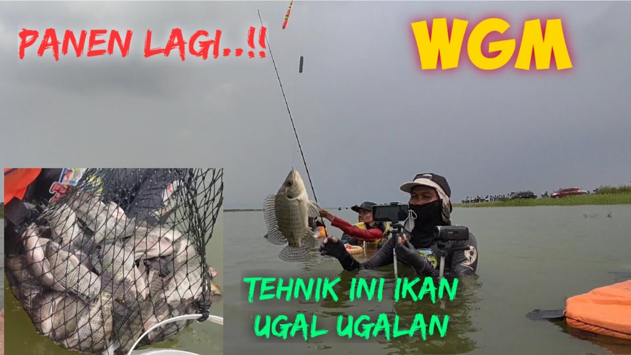 Waduk Gajah Mungkur‼️panen ikan dengan tehnik menthil 😁 #fishing #mancing #fish