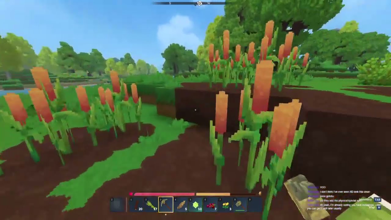 VOD: Hytale (1)