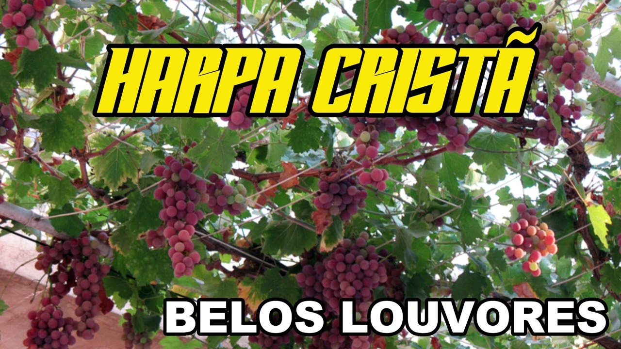 HARPA CRISTÃ   BELOS LOUVORES