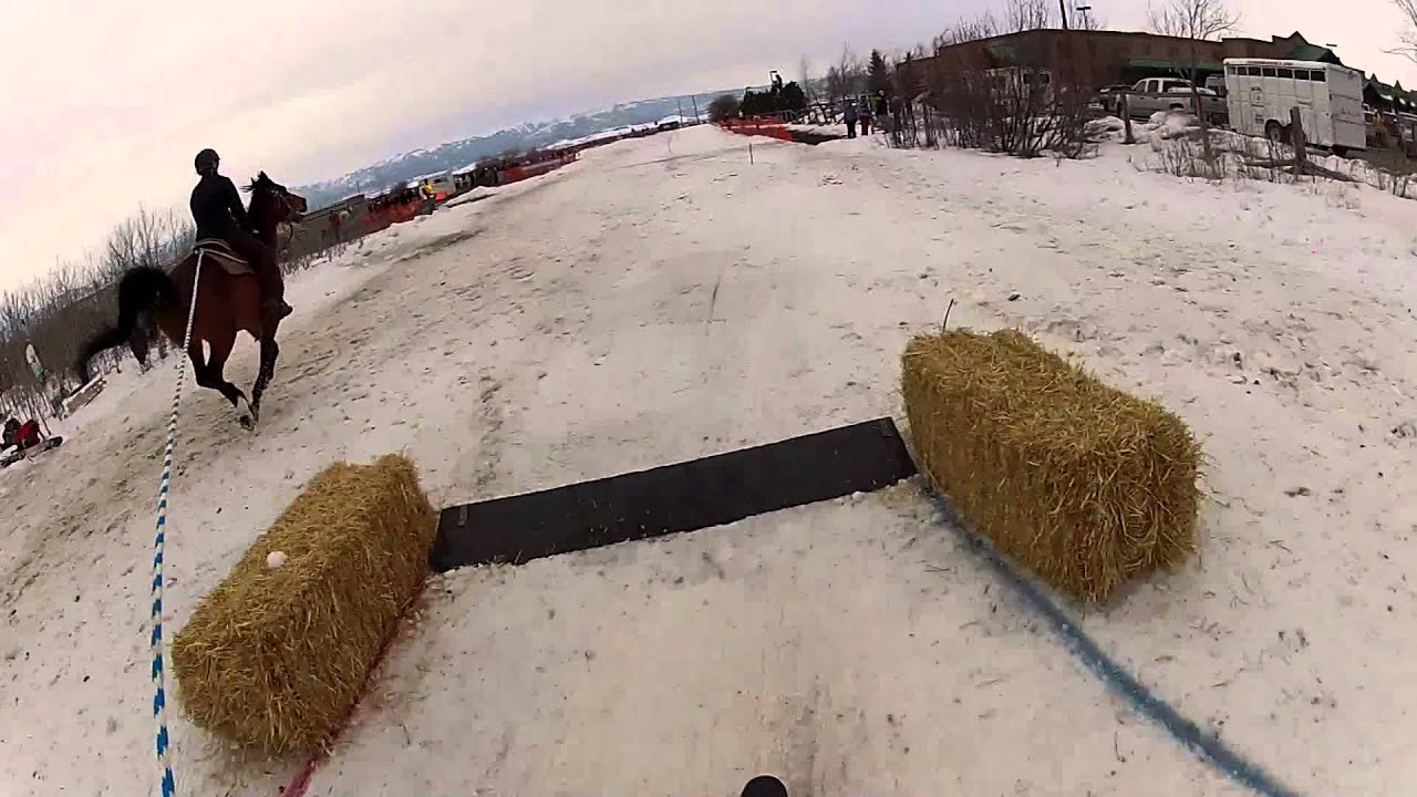 Skijoring Competition Driggs, ID 2015 🤙🏼