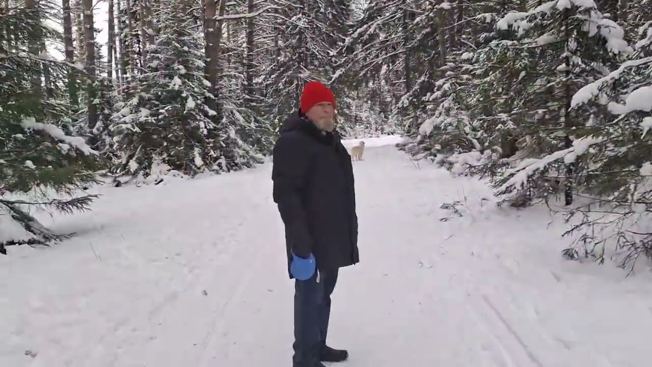 Зима часть II.
