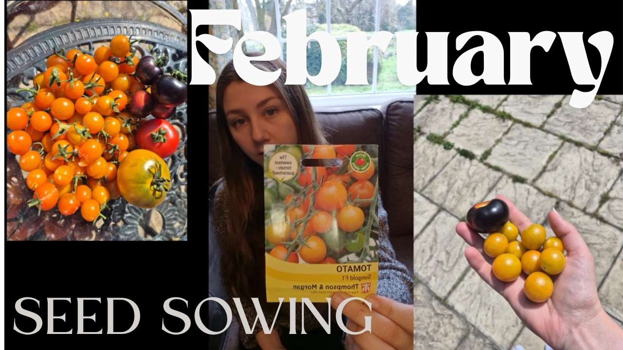 February Seed Sowing UK 🌱 3 Questions I Ask Before Growing