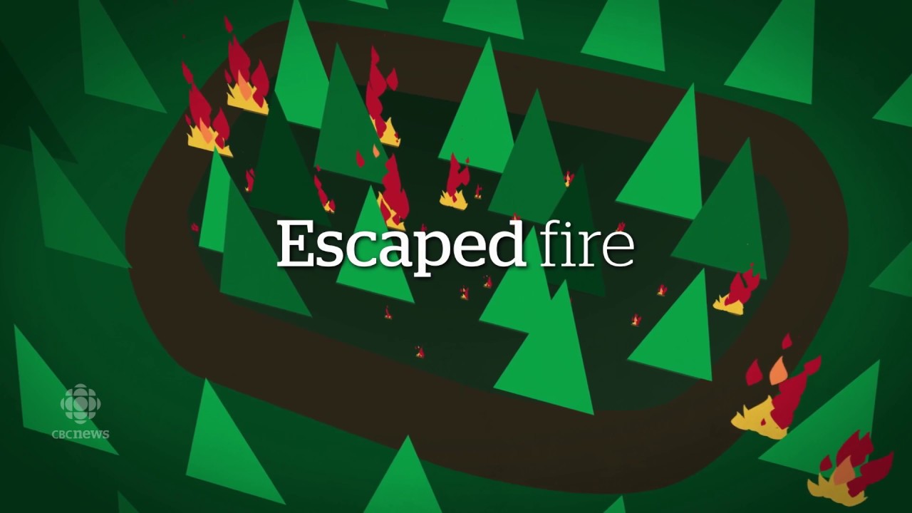 Wildfire terms explained