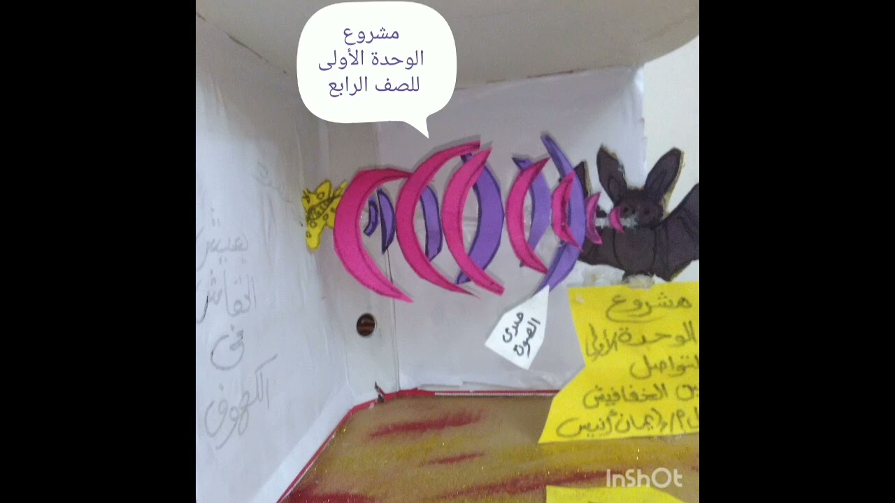 مشروع الوحدة الاولي التواصل بين الخفافيش للصف الرابع