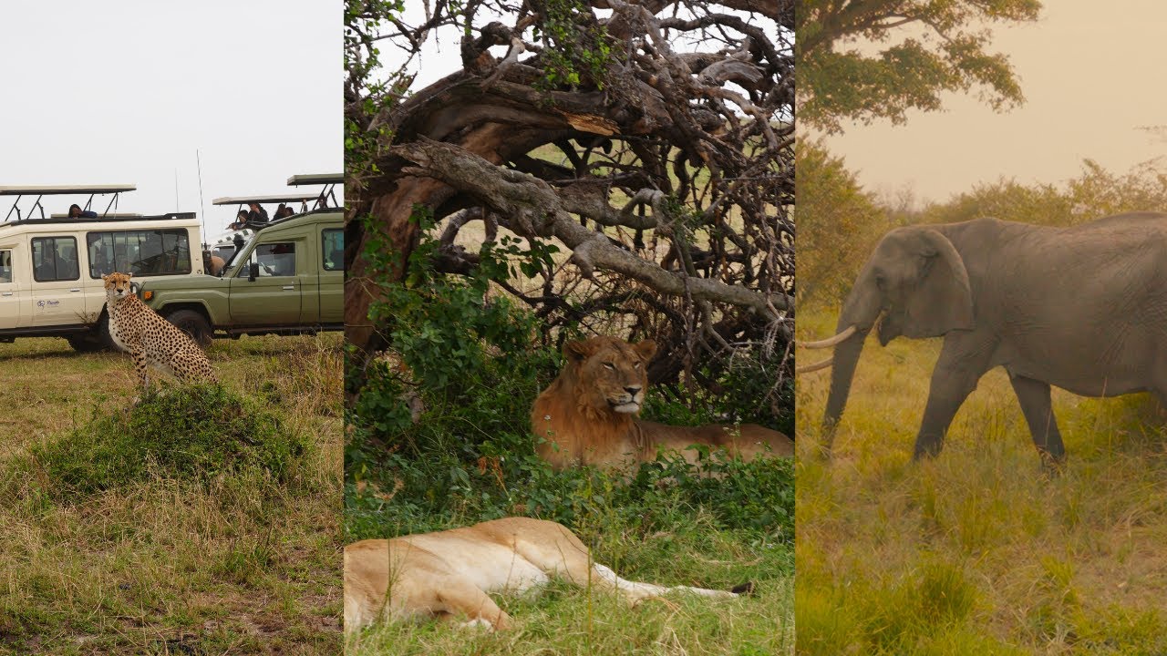 Masai Mara Safari | Cinematic Travel Film (Kenya)