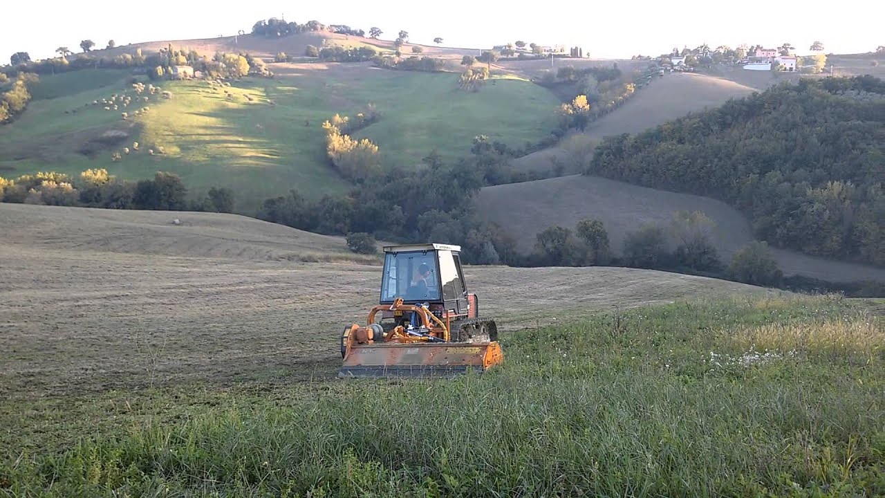 Trinciatura Erba 2015 con New Holland 88-85 + Berti TA220
