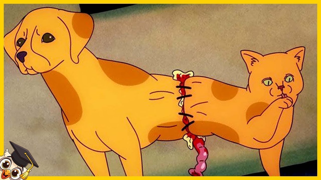 20 Cartoni Pi&ugrave; Spaventosi Mai Trasmessi