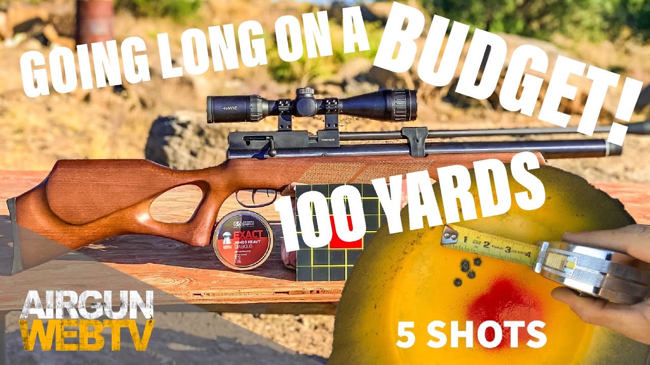 Going LONG on a BUDGET! - The Beeman Commander .22 at 100 yards