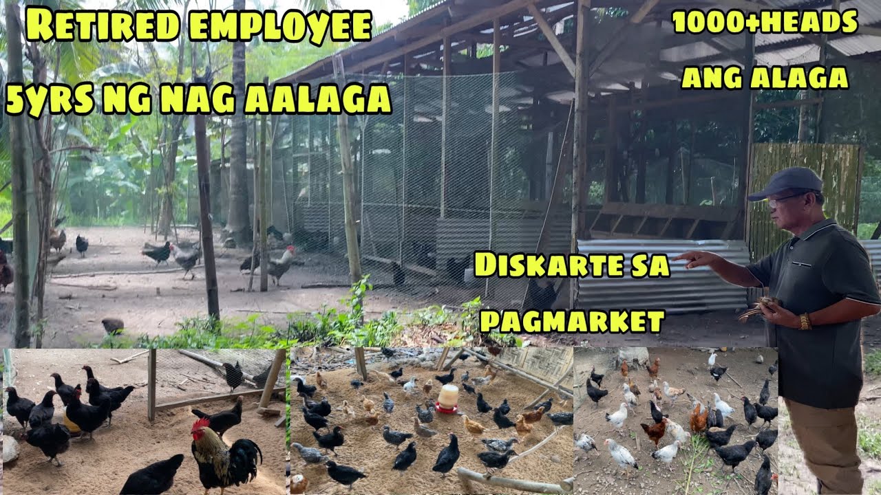 RETIRED EMPLOYEE 5 YEARS NG KUMIKITA SA PAGMAMANOK | UMABOT NG 1000+ HEADS ANG ALAGA