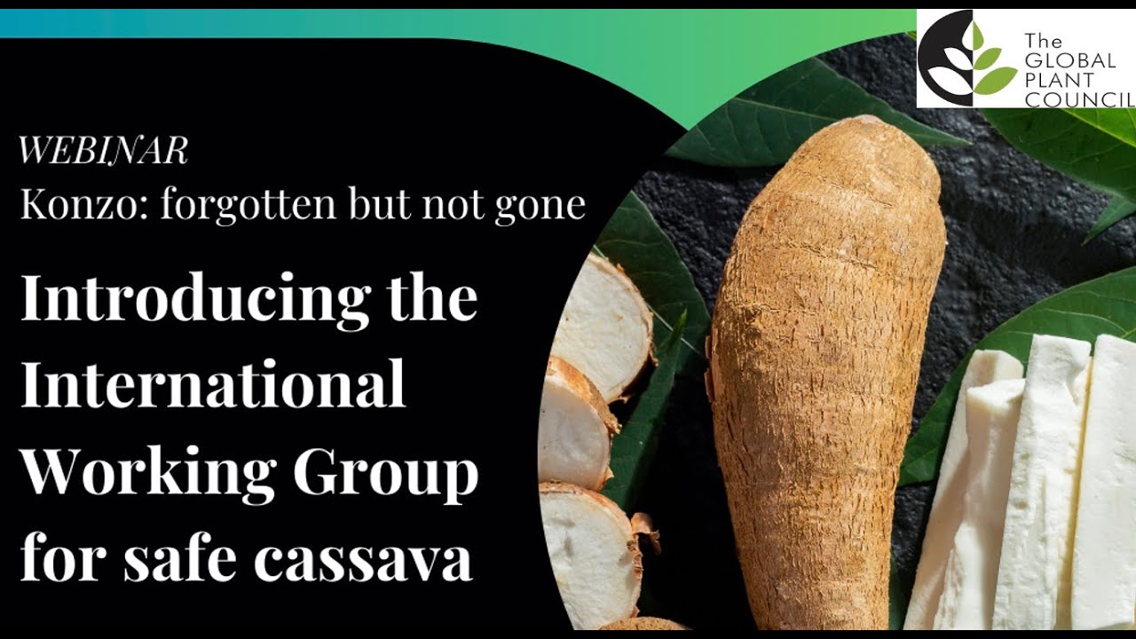 Konzo: forgotten but not gone - Introducing the International Working Group for safe cassava