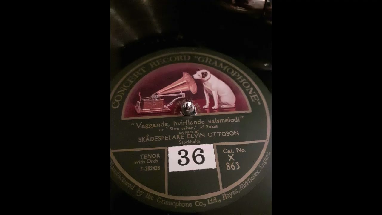 Vaggande hvirflande valsmelodi - Elvin Ottoson