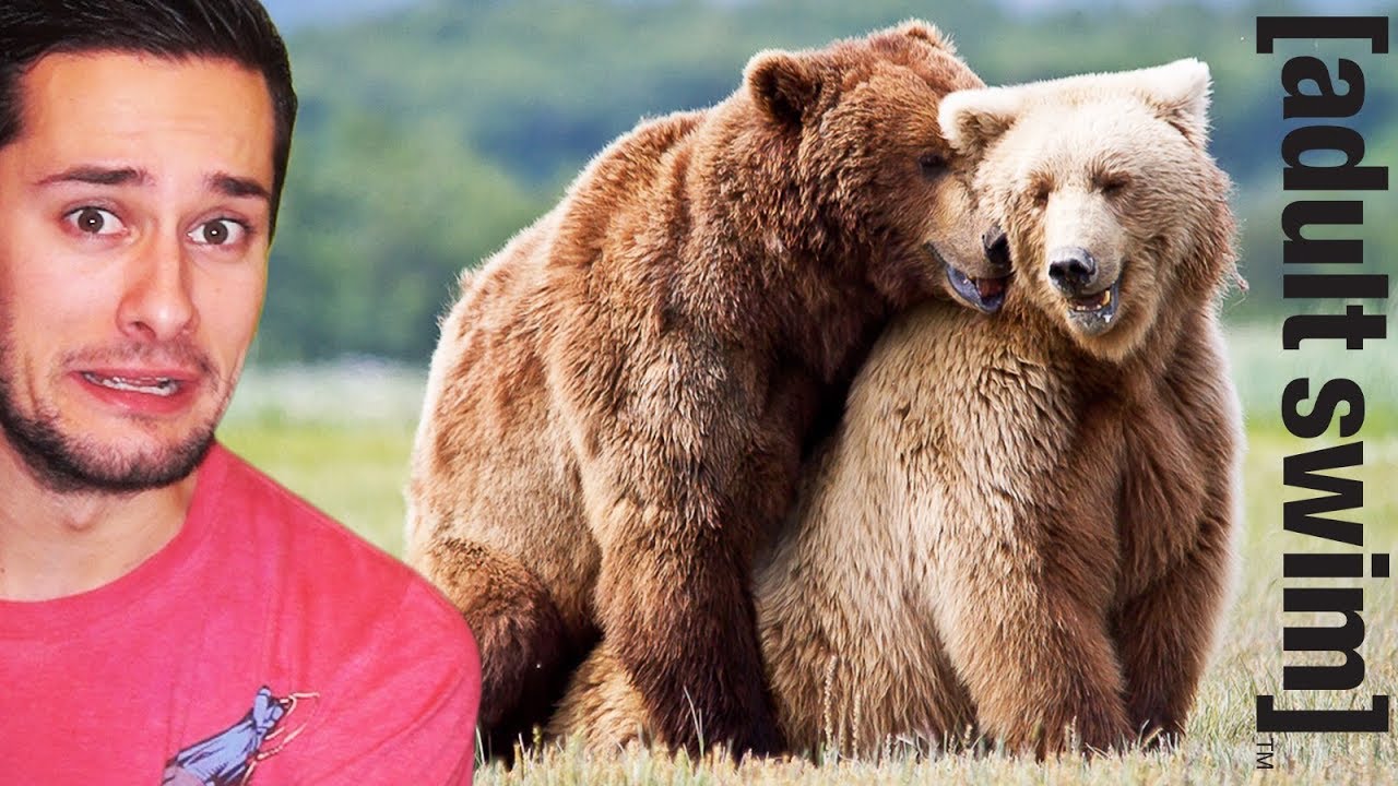 PAUL AND TOM REACT TO ' UNEDITED FOOTAGE OF A BEAR ' by ADULT SWIM