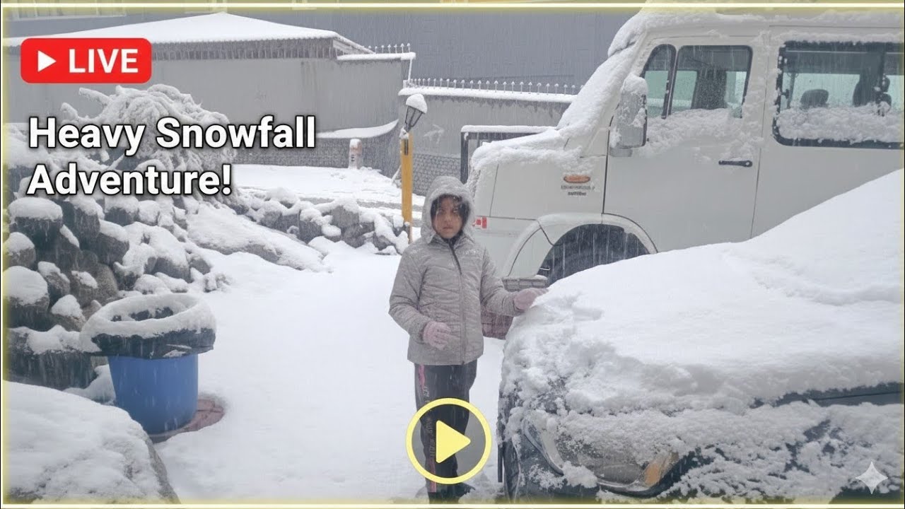 Live Snowfall in manali | 23 jan 2026 | 🥶❄️ #snow #snowfall #manali #kullumanali #vlog