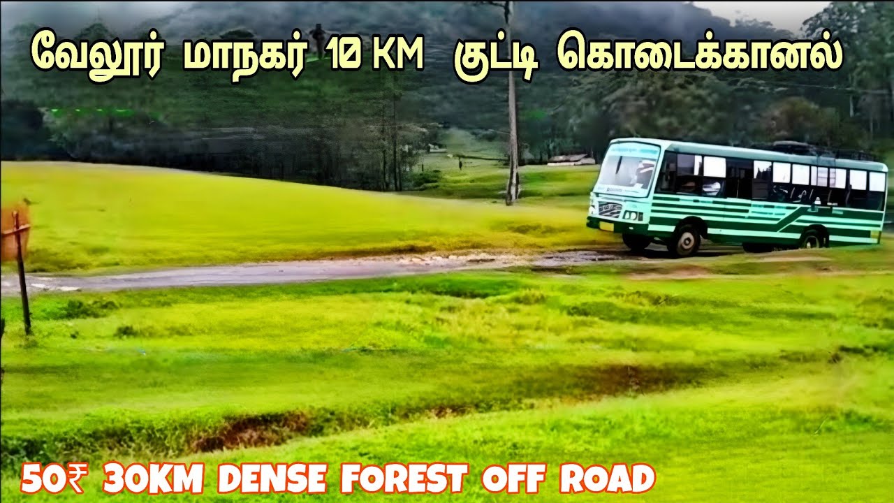💢 99% யாரும் அறியாத ஒரு முறையாவது பார்க்க வேண்டிய சொர்க்கம்   😍