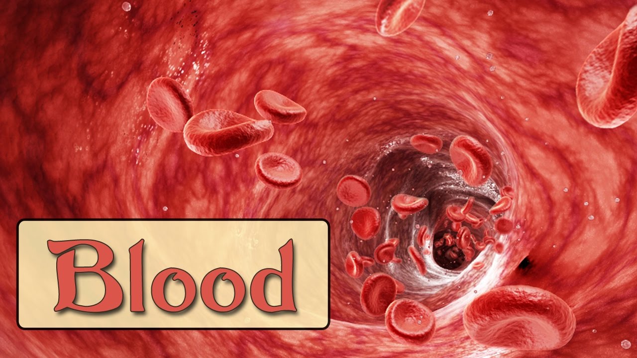 Easy Physiology | Blood | Blood Groups & Blood Transfusion