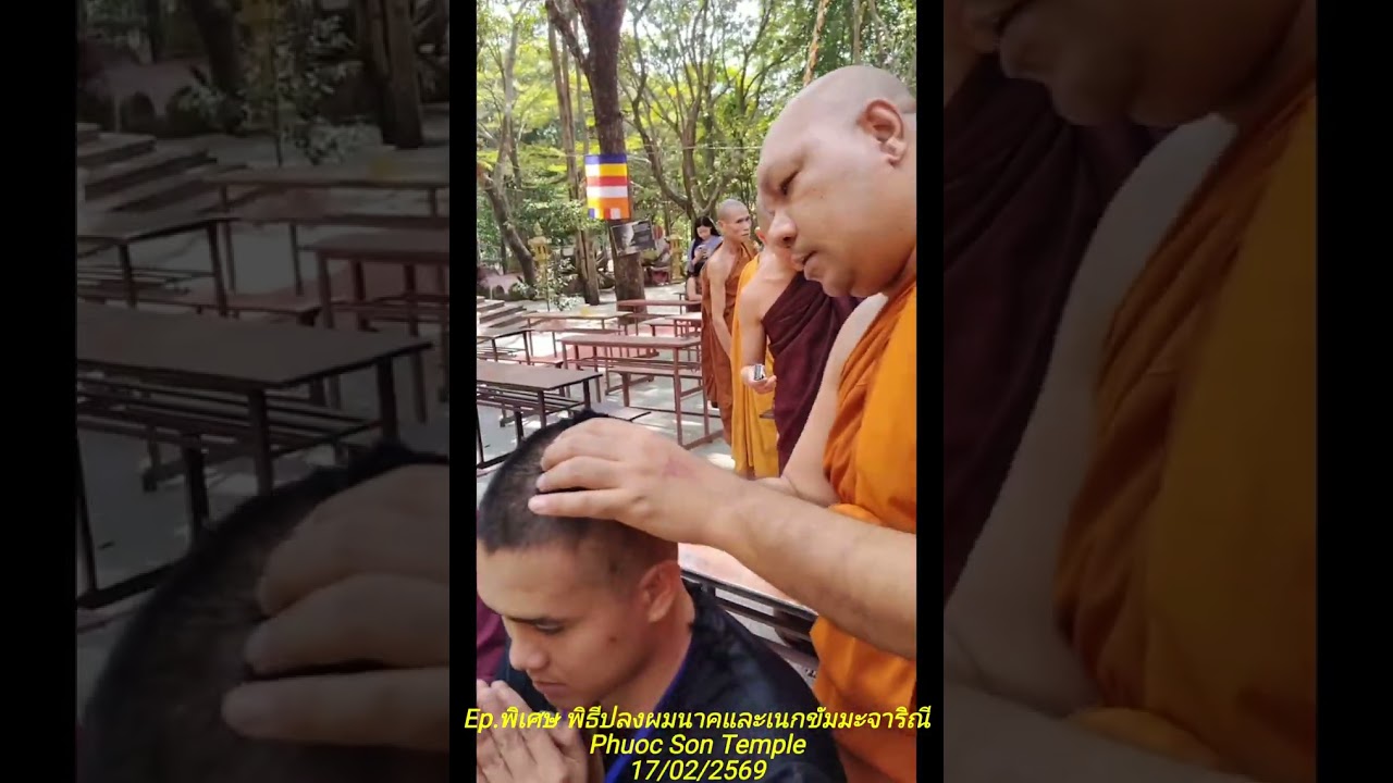 Ep.พิเศษ พิธีปลงผมนาคและเนกขัมมะจาริณี แห่ง Phuoc Son Temple 17/02/2569