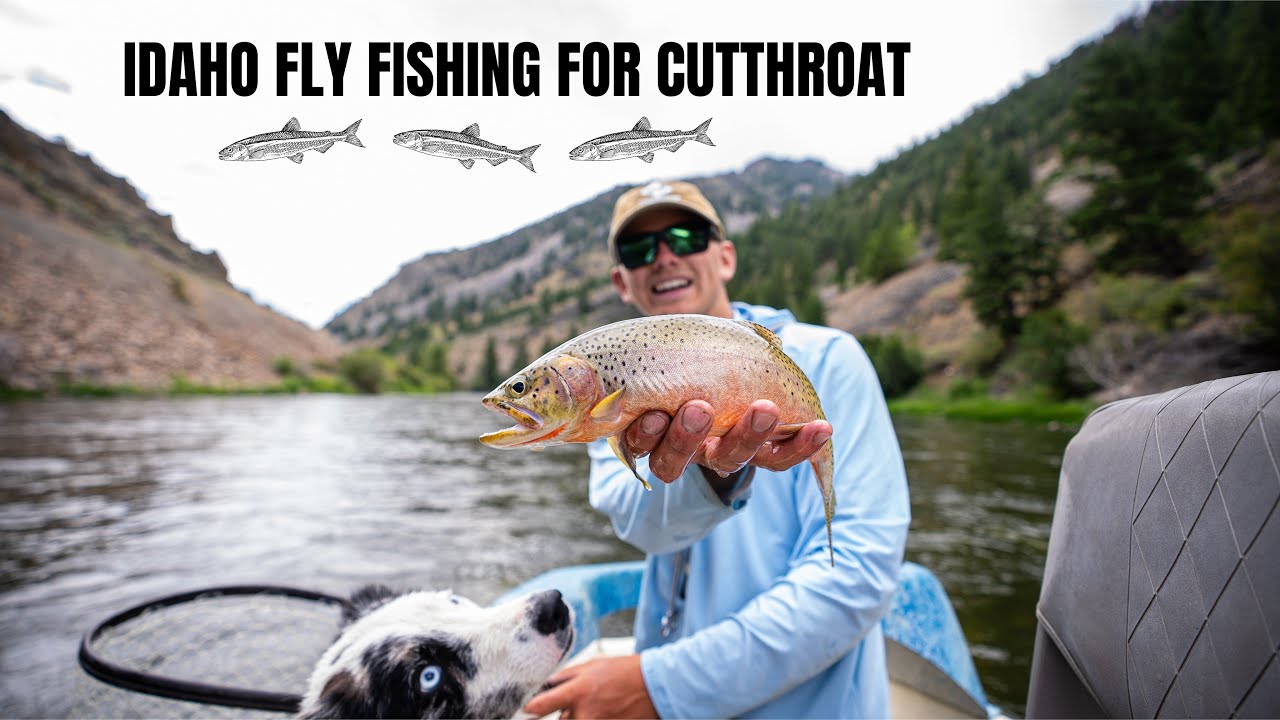 ЛОВЛЯ РЫБЫ НАХЛЫСТОМ В АЙДАХО CUTTHROAT — сплав по одной из самых красивых рек штата