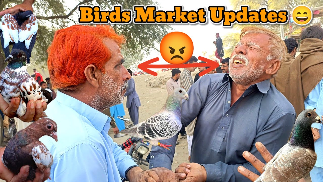 Akram Marani Angry 😡| Kabootar Mandi | Pigeon Market New Video | ColorFull Kabootar Bazi Shok Punjab